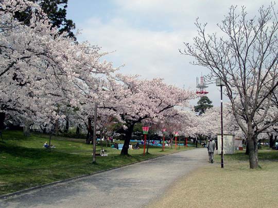 b_tsuruoka_parc09